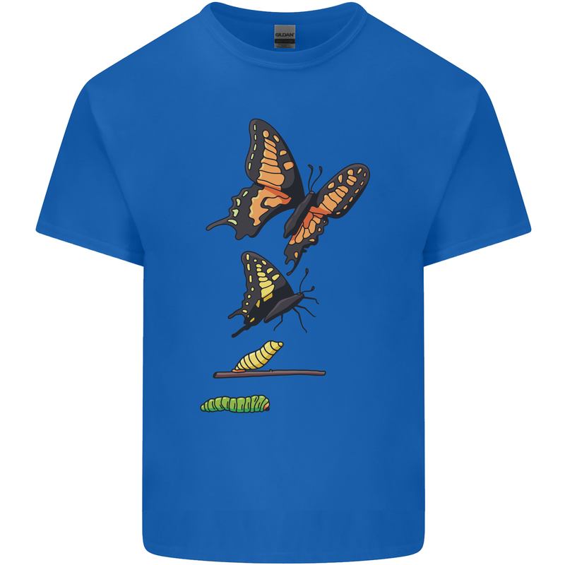 Butterfly Evolution Caterpillar Butterflies Kids T-Shirt Childrens Royal Blue