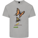 Butterfly Evolution Caterpillar Butterflies Kids T-Shirt Childrens Sports Grey