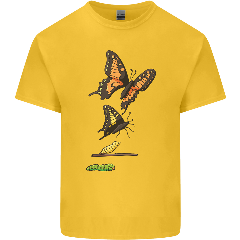 Butterfly Evolution Caterpillar Butterflies Kids T-Shirt Childrens Yellow