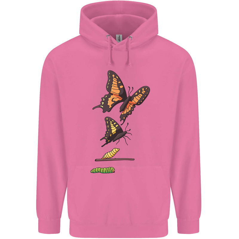 Butterfly Evolution Caterpillar Butterflies Mens 80% Cotton Hoodie Azelea
