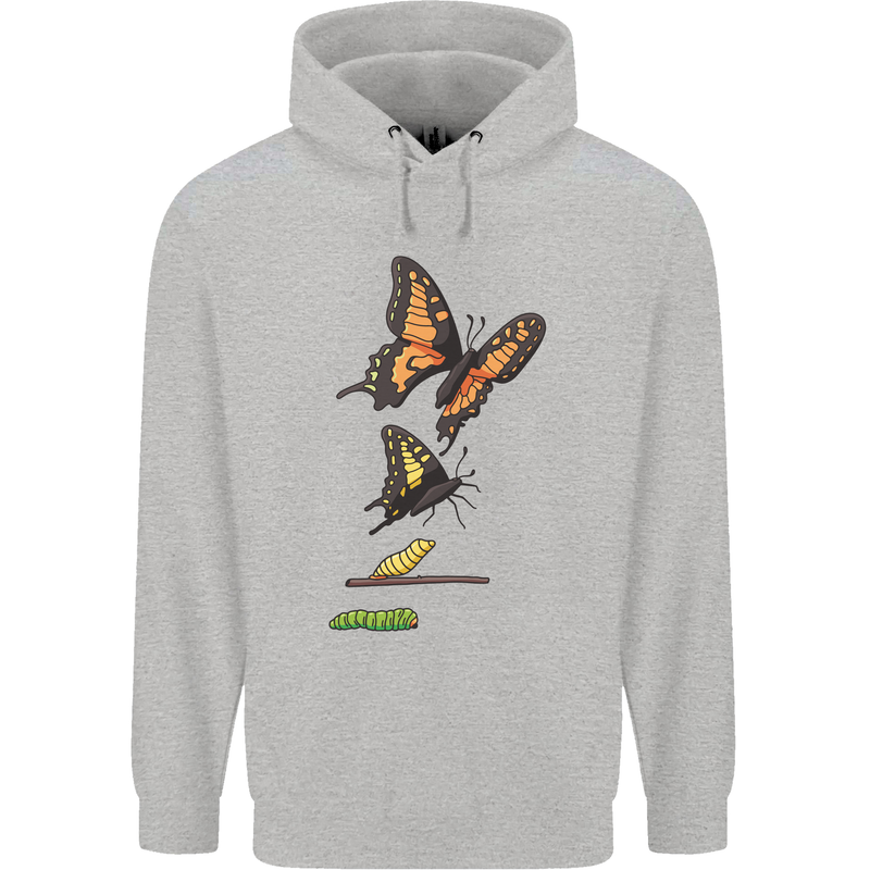 Butterfly Evolution Caterpillar Butterflies Mens 80% Cotton Hoodie Sports Grey