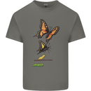 Butterfly Evolution Caterpillar Butterflies Mens Cotton T-Shirt Tee Top Charcoal