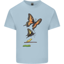 Butterfly Evolution Caterpillar Butterflies Mens Cotton T-Shirt Tee Top Light Blue
