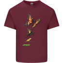 Butterfly Evolution Caterpillar Butterflies Mens Cotton T-Shirt Tee Top Maroon