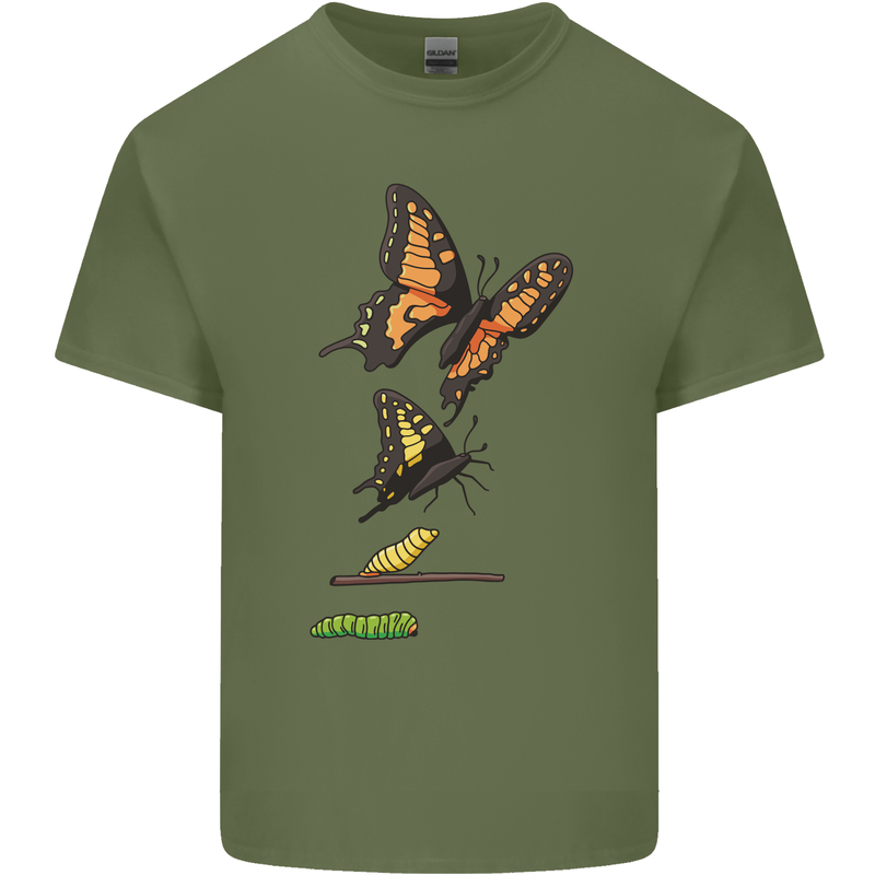 Butterfly Evolution Caterpillar Butterflies Mens Cotton T-Shirt Tee Top Military Green