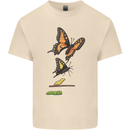 Butterfly Evolution Caterpillar Butterflies Mens Cotton T-Shirt Tee Top Natural