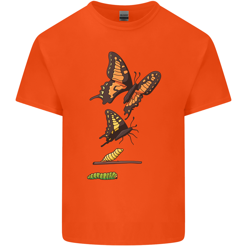 Butterfly Evolution Caterpillar Butterflies Mens Cotton T-Shirt Tee Top Orange