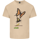 Butterfly Evolution Caterpillar Butterflies Mens Cotton T-Shirt Tee Top Sand