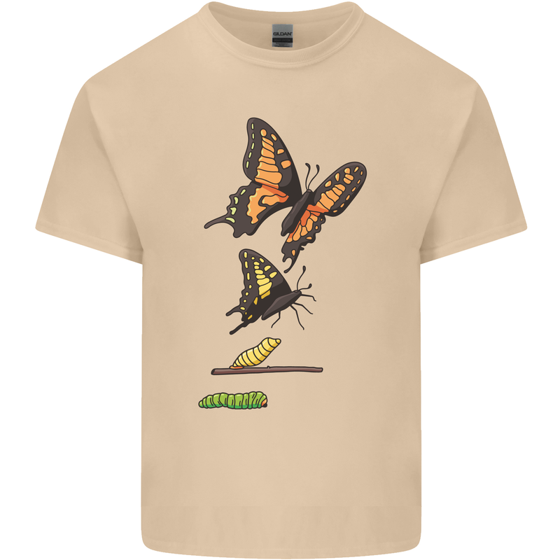 Butterfly Evolution Caterpillar Butterflies Mens Cotton T-Shirt Tee Top Sand