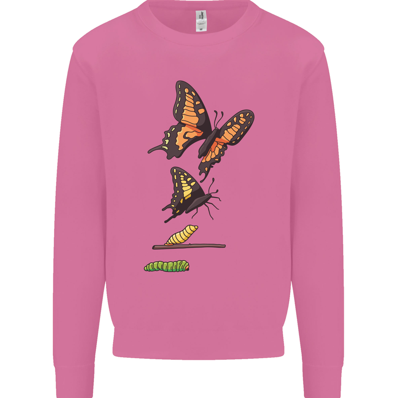 Butterfly Evolution Caterpillar Butterflies Mens Sweatshirt Jumper Azalea