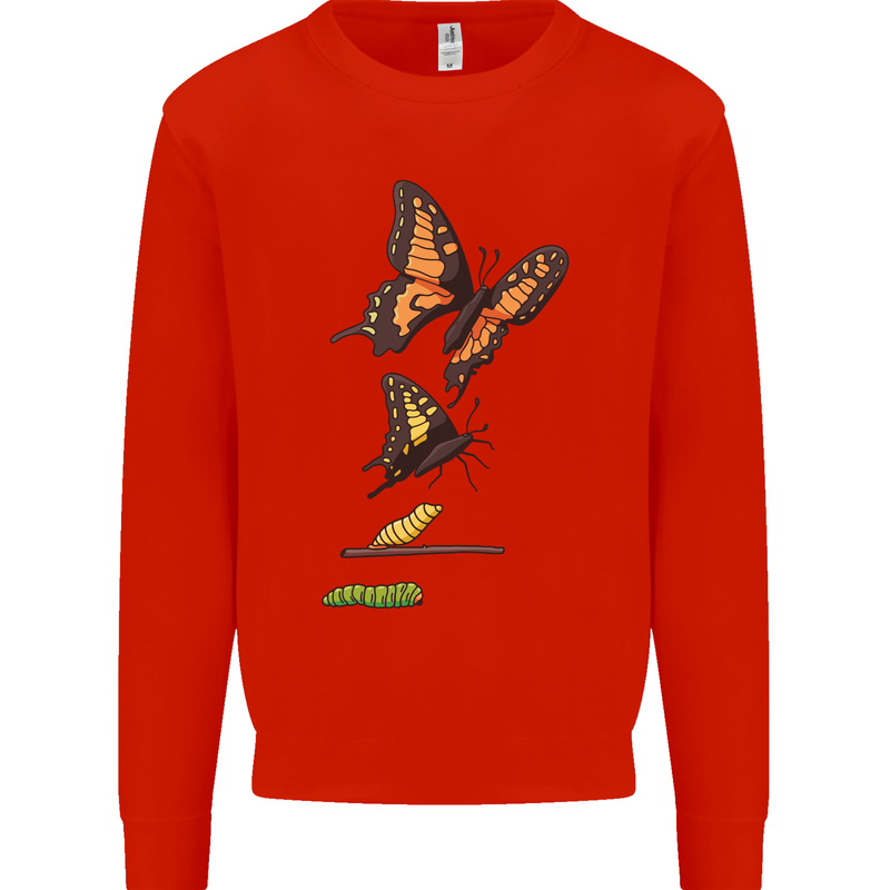 Butterfly Evolution Caterpillar Butterflies Mens Sweatshirt Jumper Bright Red