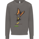 Butterfly Evolution Caterpillar Butterflies Mens Sweatshirt Jumper Charcoal
