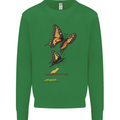 Butterfly Evolution Caterpillar Butterflies Mens Sweatshirt Jumper Irish Green