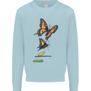 Butterfly Evolution Caterpillar Butterflies Mens Sweatshirt Jumper Light Blue