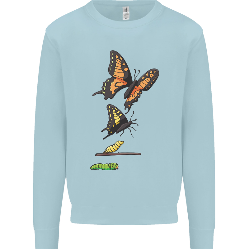 Butterfly Evolution Caterpillar Butterflies Mens Sweatshirt Jumper Light Blue