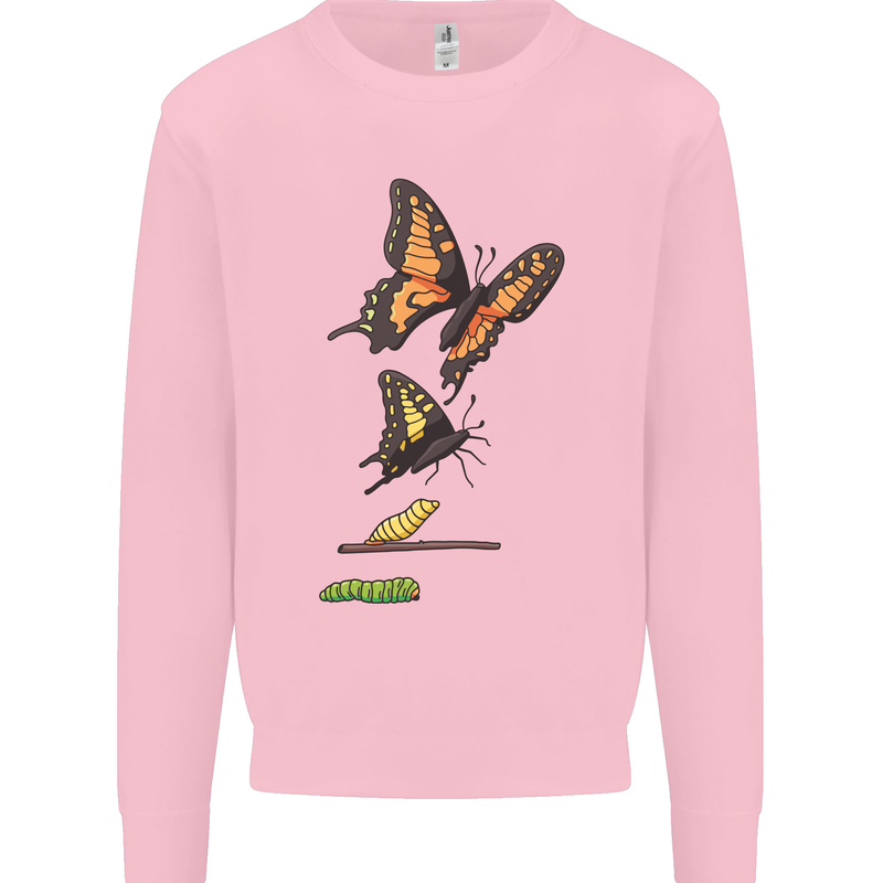 Butterfly Evolution Caterpillar Butterflies Mens Sweatshirt Jumper Light Pink