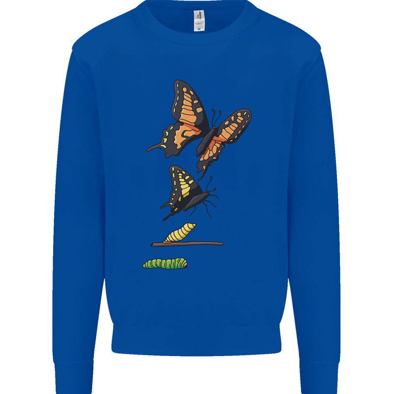 Butterfly Evolution Caterpillar Butterflies Mens Sweatshirt Jumper Royal Blue