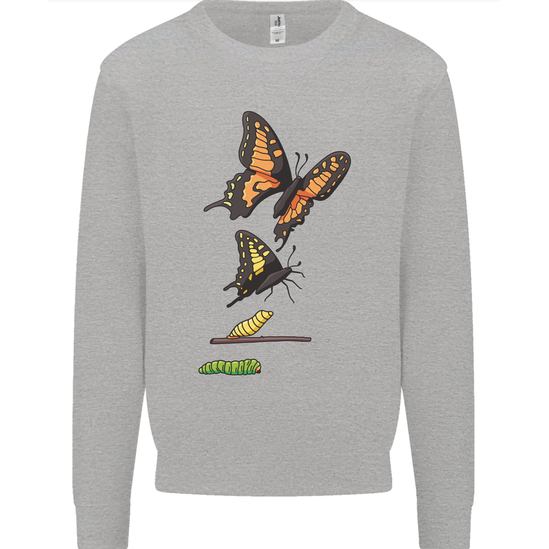 Butterfly Evolution Caterpillar Butterflies Mens Sweatshirt Jumper Sports Grey