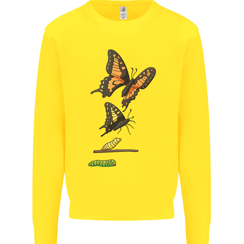 Butterfly Evolution Caterpillar Butterflies Mens Sweatshirt Jumper Yellow