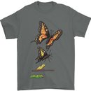 Butterfly Evolution Caterpillar Butterflies Mens T-Shirt 100% Cotton Charcoal
