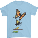 Butterfly Evolution Caterpillar Butterflies Mens T-Shirt 100% Cotton Light Blue