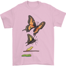 Butterfly Evolution Caterpillar Butterflies Mens T-Shirt 100% Cotton Light Pink
