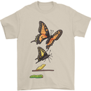 Butterfly Evolution Caterpillar Butterflies Mens T-Shirt 100% Cotton Sand