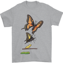Butterfly Evolution Caterpillar Butterflies Mens T-Shirt 100% Cotton Sports Grey