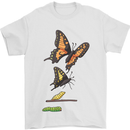 Butterfly Evolution Caterpillar Butterflies Mens T-Shirt 100% Cotton White