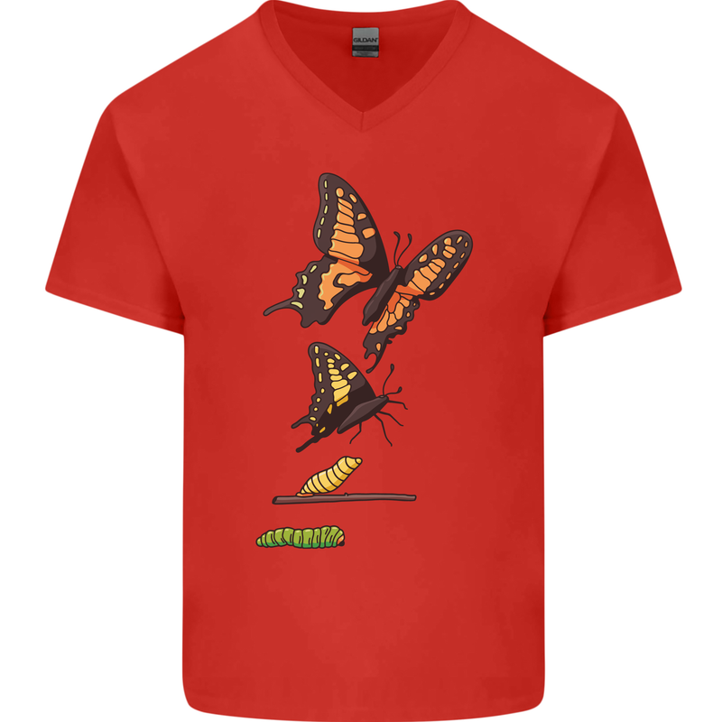 Butterfly Evolution Caterpillar Butterflies Mens V-Neck Cotton T-Shirt Red