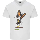 Butterfly Evolution Caterpillar Butterflies Mens V-Neck Cotton T-Shirt White