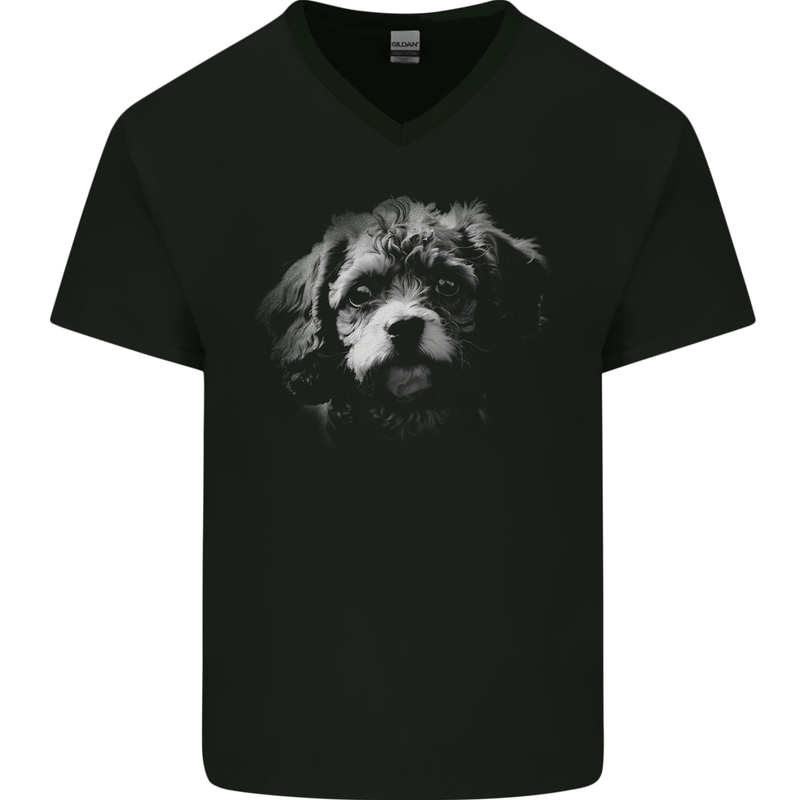 Cavapoo Dog Mens V-Neck Cotton T-Shirt Black