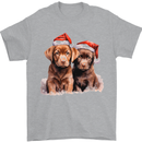 Chocolate Labrador Christmas Puppies Xmas Mens T-Shirt 100% Cotton Sports Grey