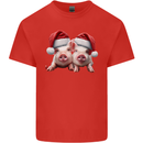 Christmas Piglets Wearing Xmas Hats Pig Mens Cotton T-Shirt Tee Top Red