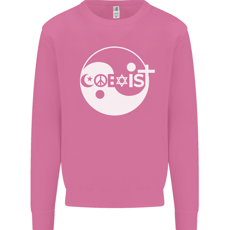 Coexist World Peace Love Religion Hippy Anti War Mens Sweatshirt Jumper Azalea