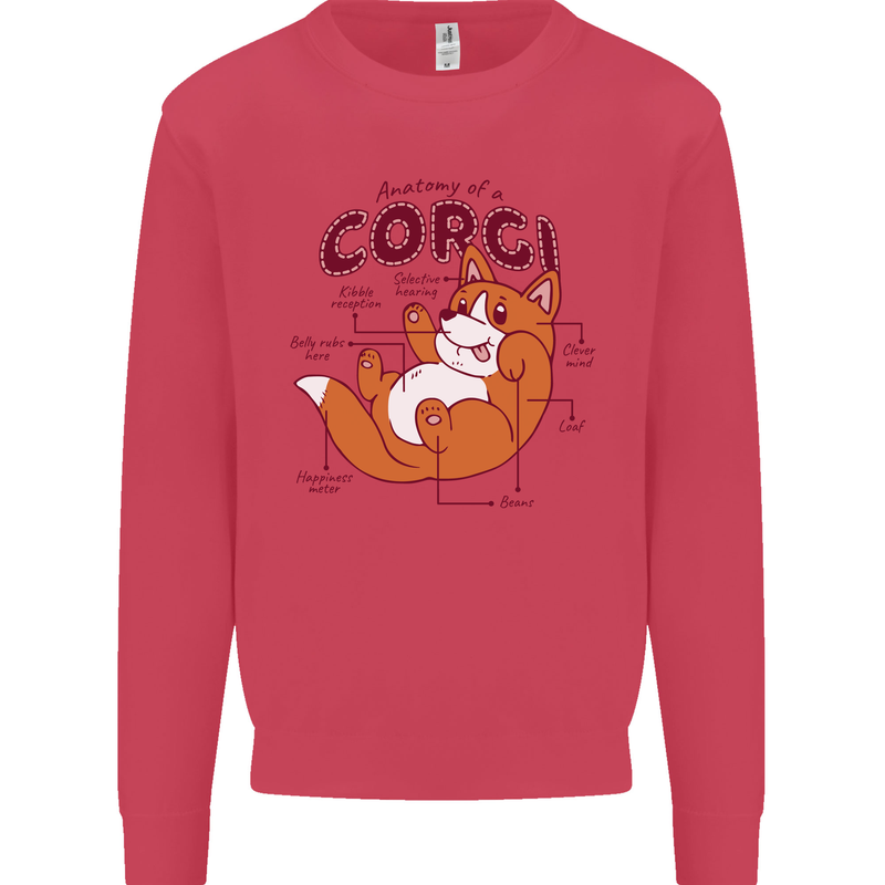 Corgi Anatomy Dog Mens Sweatshirt Jumper Heliconia