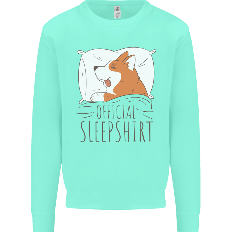 Corgi Sleeping Dog Kids Sweatshirt Jumper Peppermint