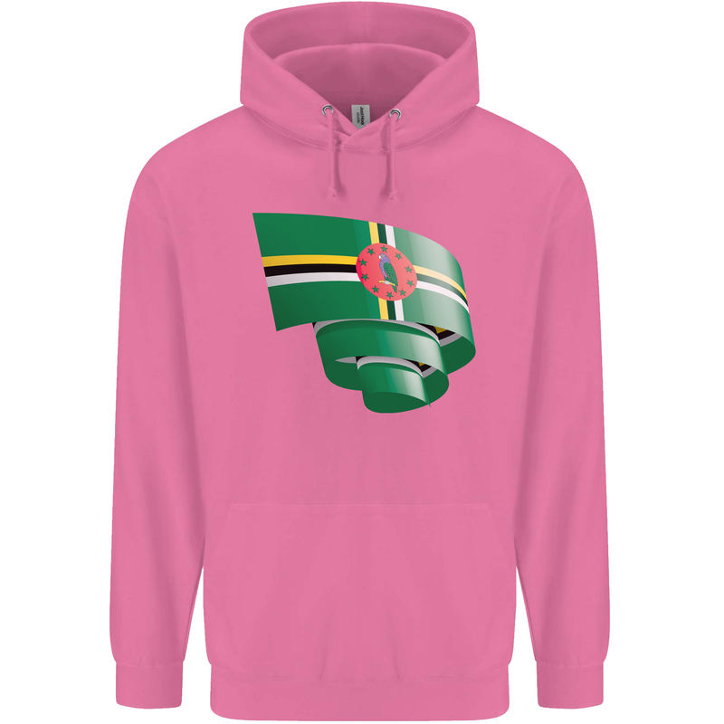 Curled Dominica Flag Dominican Day Football Childrens Kids Hoodie Azalea
