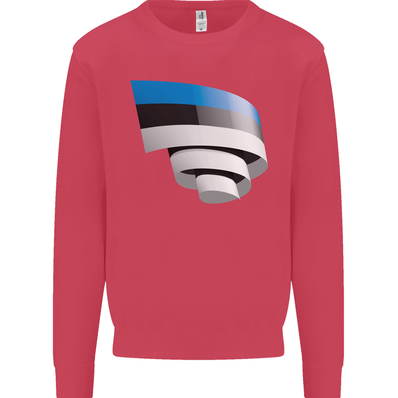 Curled Estonia Flag Estonian Day Football Kids Sweatshirt Jumper Heliconia