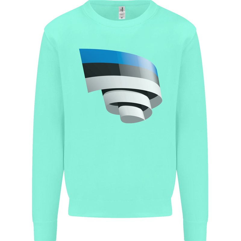 Curled Estonia Flag Estonian Day Football Kids Sweatshirt Jumper Peppermint