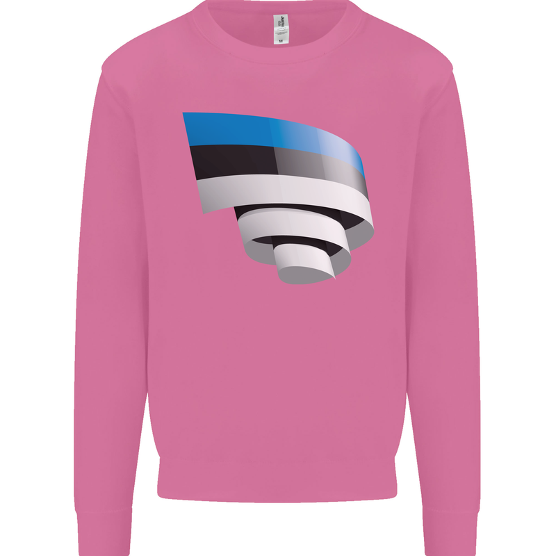 Curled Estonia Flag Estonian Day Football Mens Sweatshirt Jumper Azalea