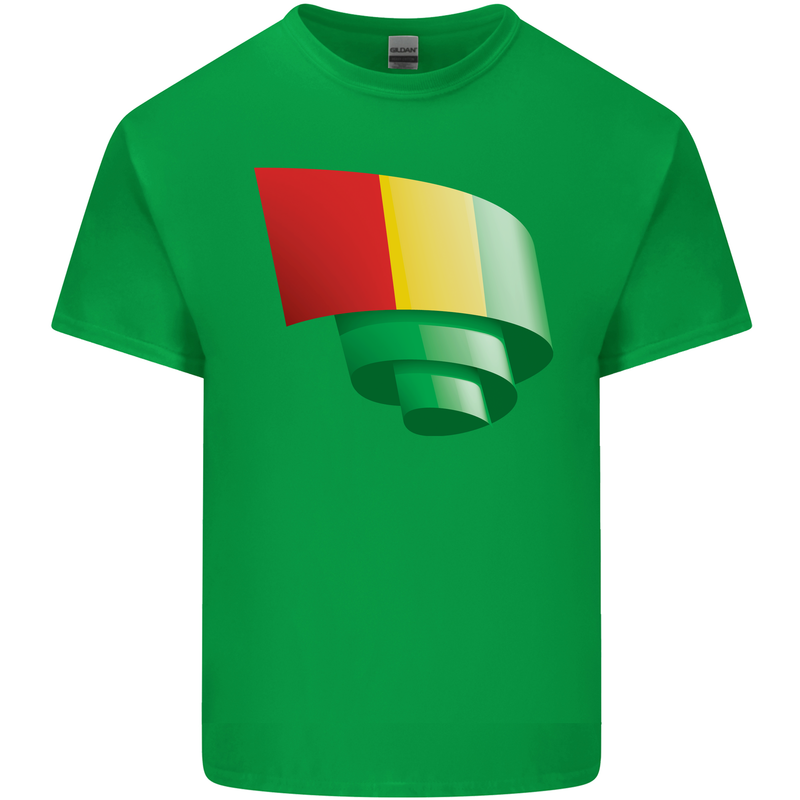 Curled Guinea Flag Guinean Day Football Mens Cotton T-Shirt Tee Top Irish Green