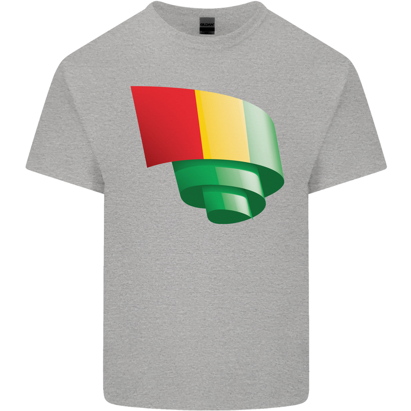 Curled Guinea Flag Guinean Day Football Mens Cotton T-Shirt Tee Top Sports Grey