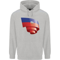 Curled Haiti Flag Haitian Day Football Childrens Kids Hoodie Sports Grey