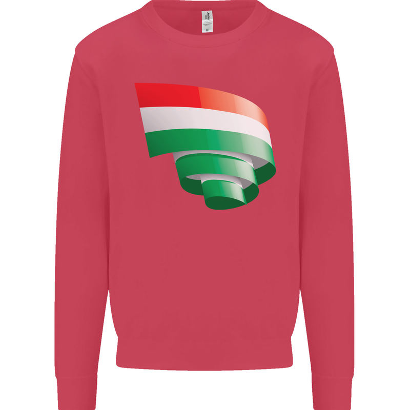Curled Hungary Flag Hungarian Day Football Kids Sweatshirt Jumper Heliconia
