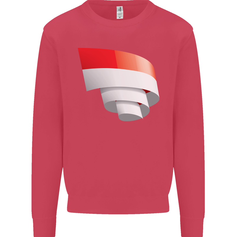 Curled Indonesia Flag Indonesian Day Football Kids Sweatshirt Jumper Heliconia