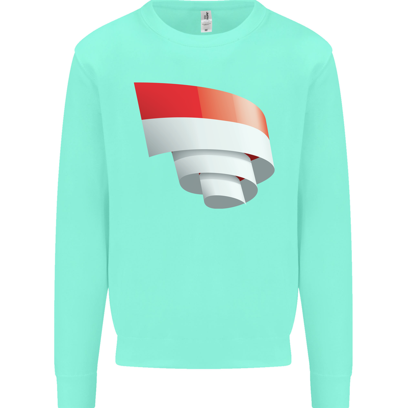 Curled Indonesia Flag Indonesian Day Football Kids Sweatshirt Jumper Peppermint