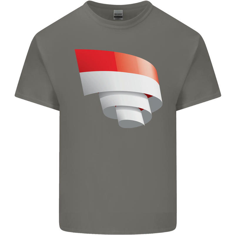 Curled Indonesia Flag Indonesian Day Football Mens Cotton T-Shirt Tee Top Charcoal