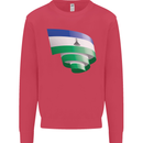 Curled Lesotho Flag Basotho Day Football Kids Sweatshirt Jumper Heliconia