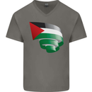 Curled Palestine Flag Palestinian Day Football Mens V-Neck Cotton T-Shirt Charcoal